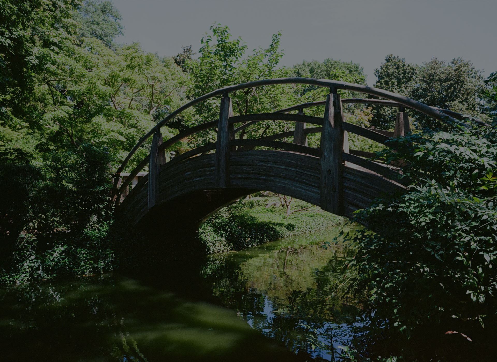 Insolvency and Liquidation Image