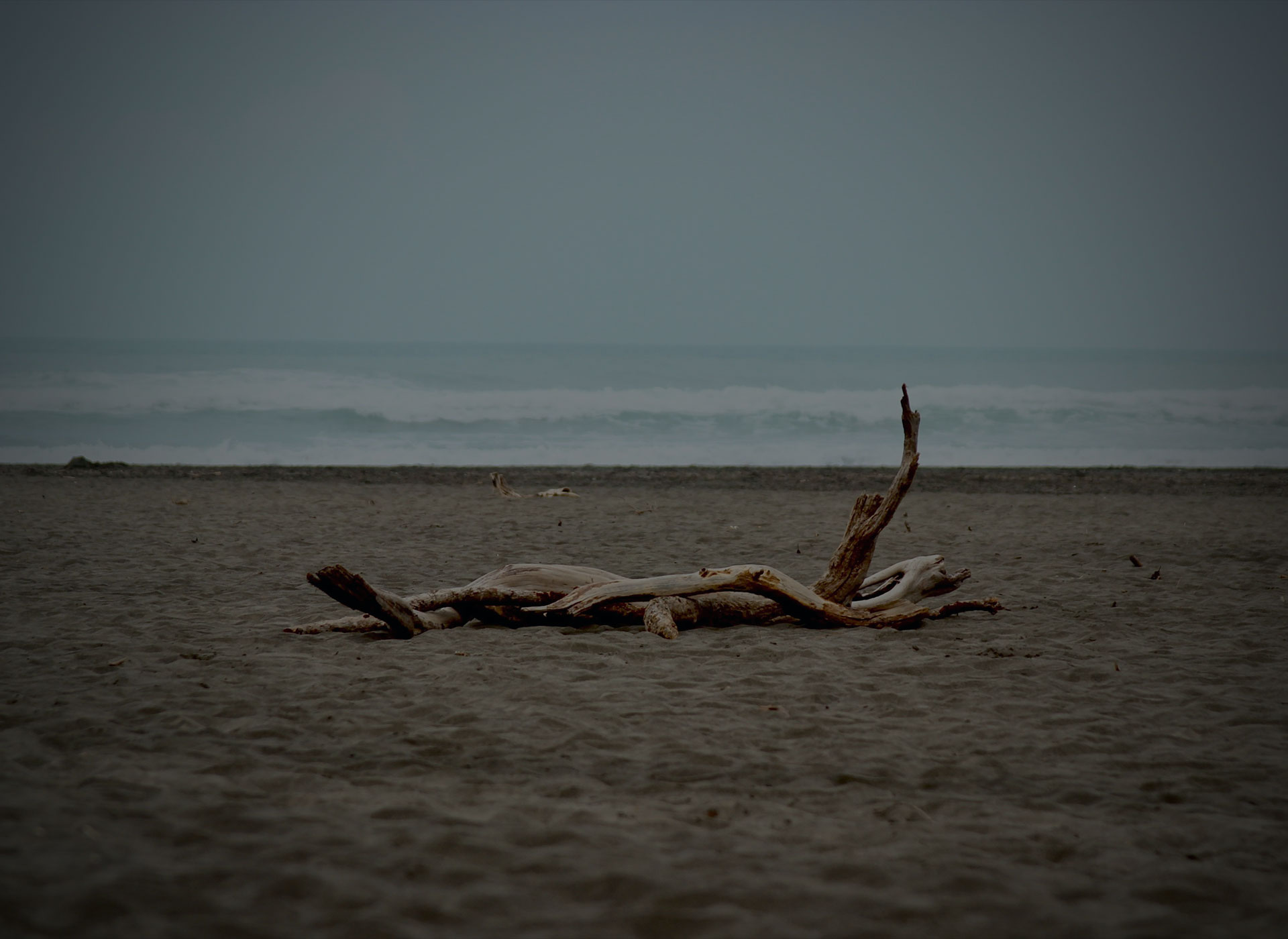 Professional Negligence Image