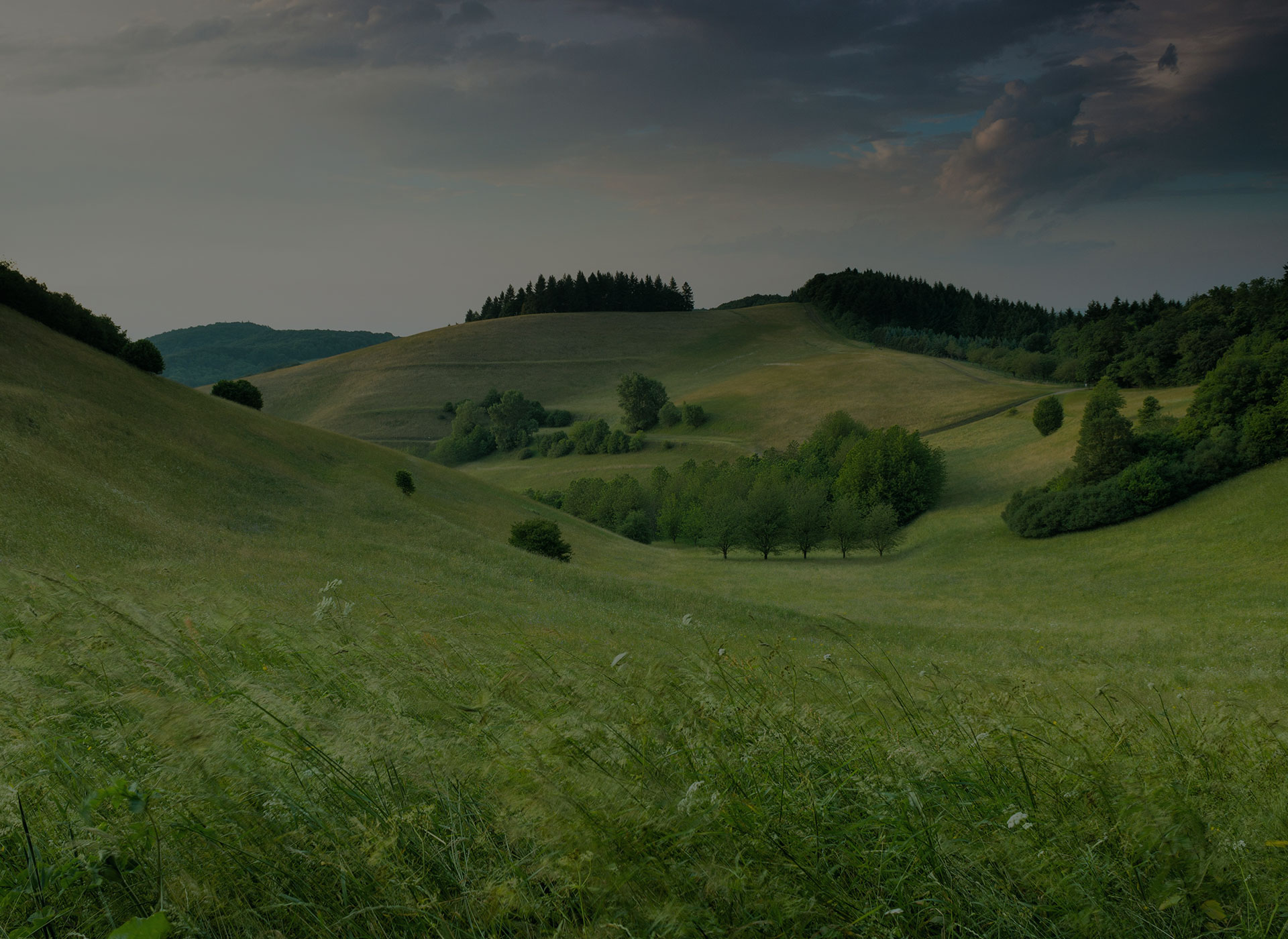 Trusts and Trustees Image