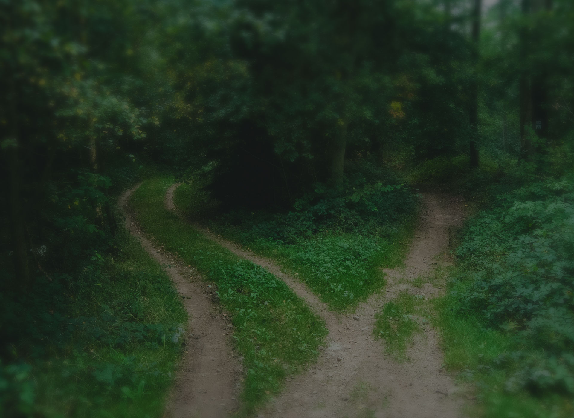 Divorce & Separation Image