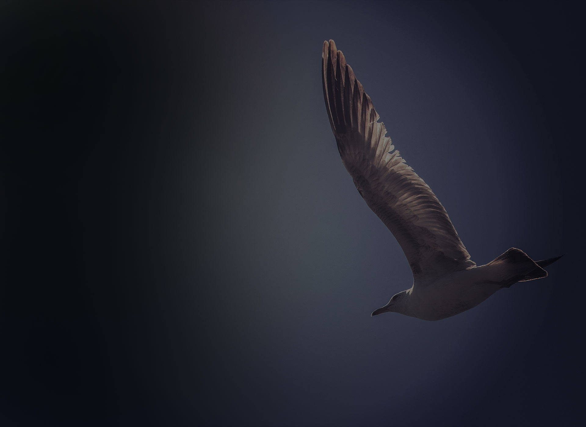 Trusts of Land and Proprietary Estoppel Image